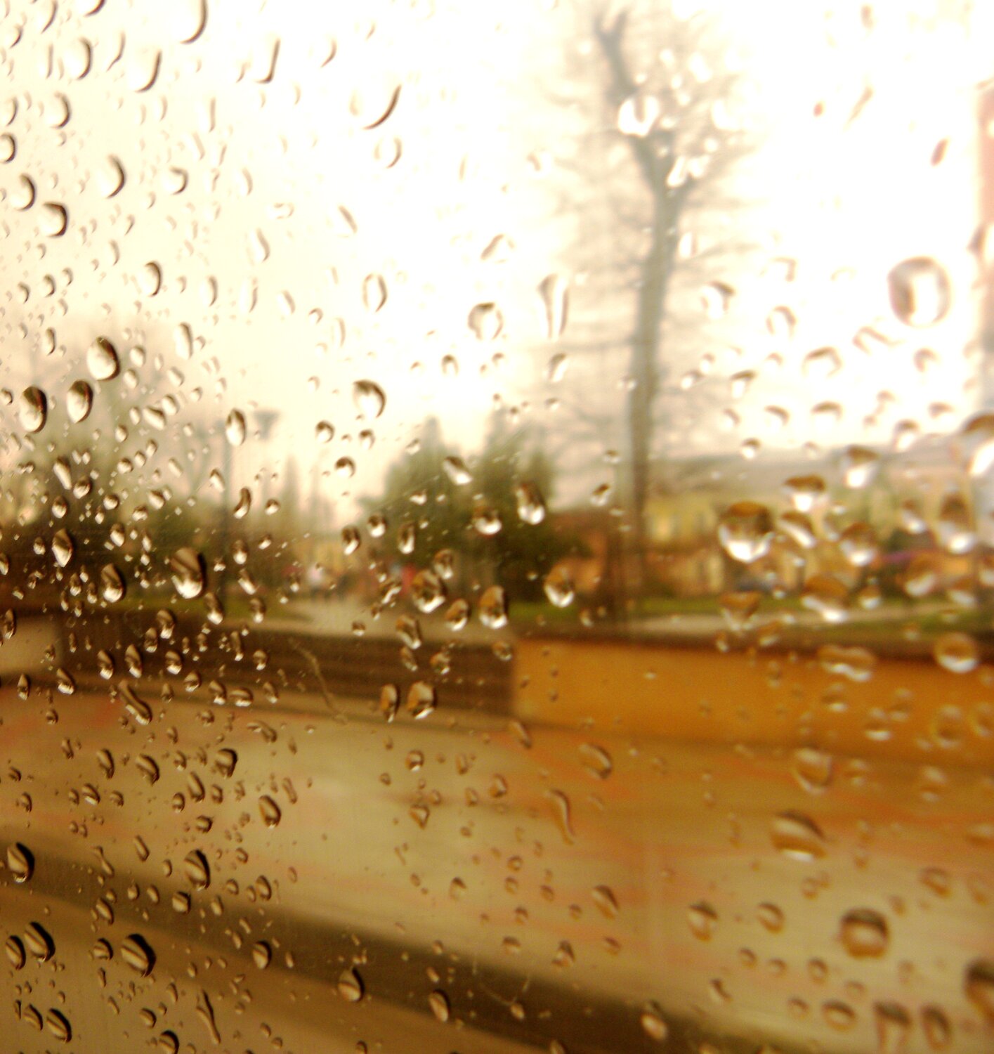 Photo #13989092