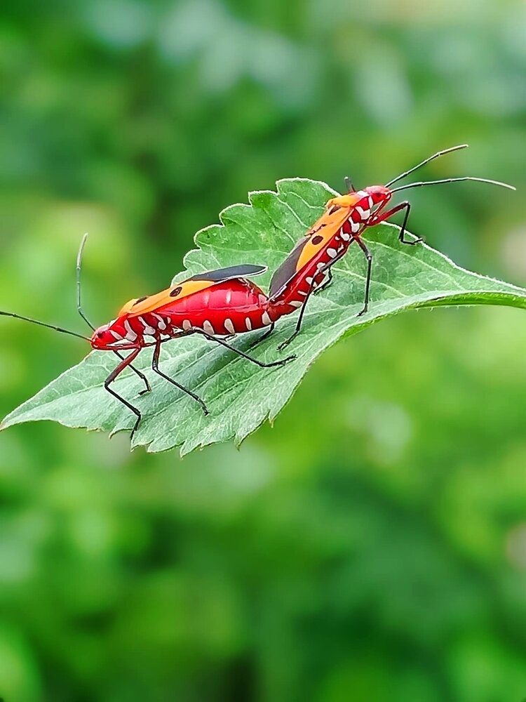 Фотография автора Toàn Nguyễn Hữu