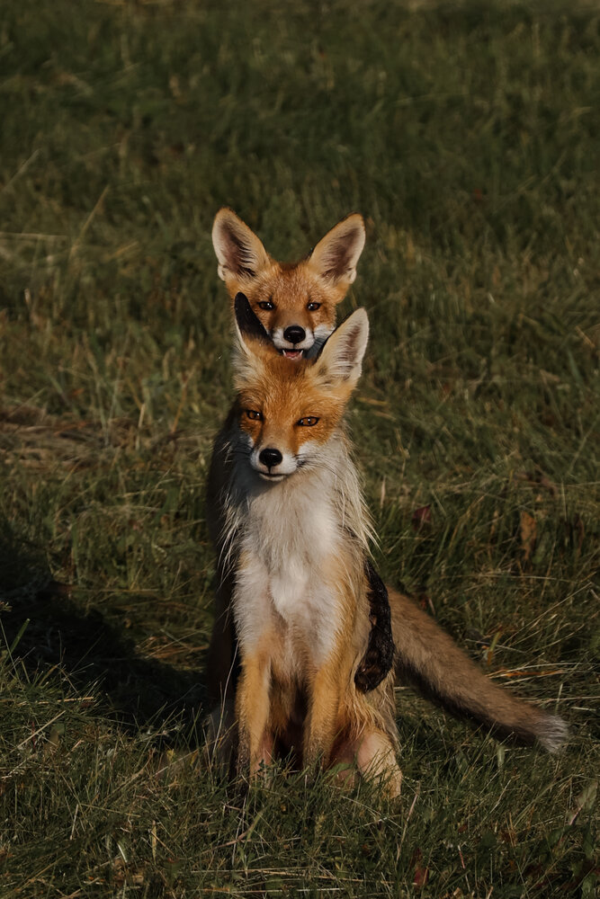 Photograph by Екатерина Ромадановская