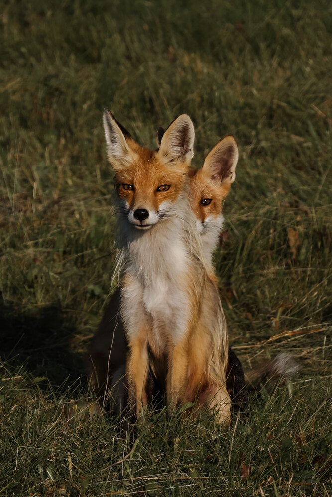 Photograph by Екатерина Ромадановская