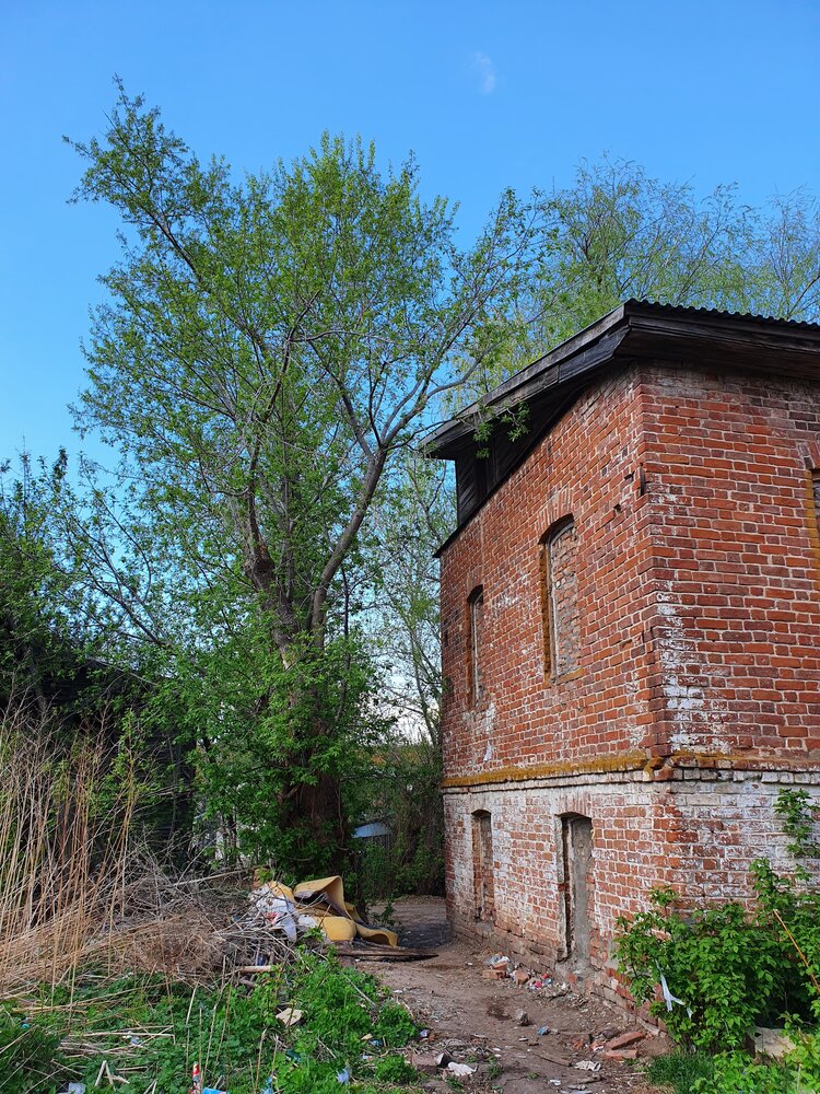 Photograph by Ирина Ященко