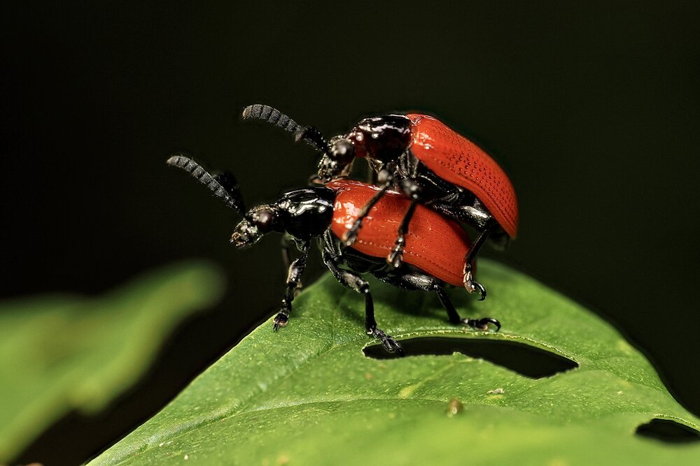 Photograph by Thành Tấn Nguyễn