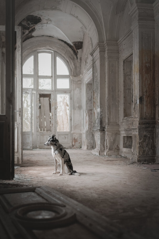 Photograph by Калинина Анна