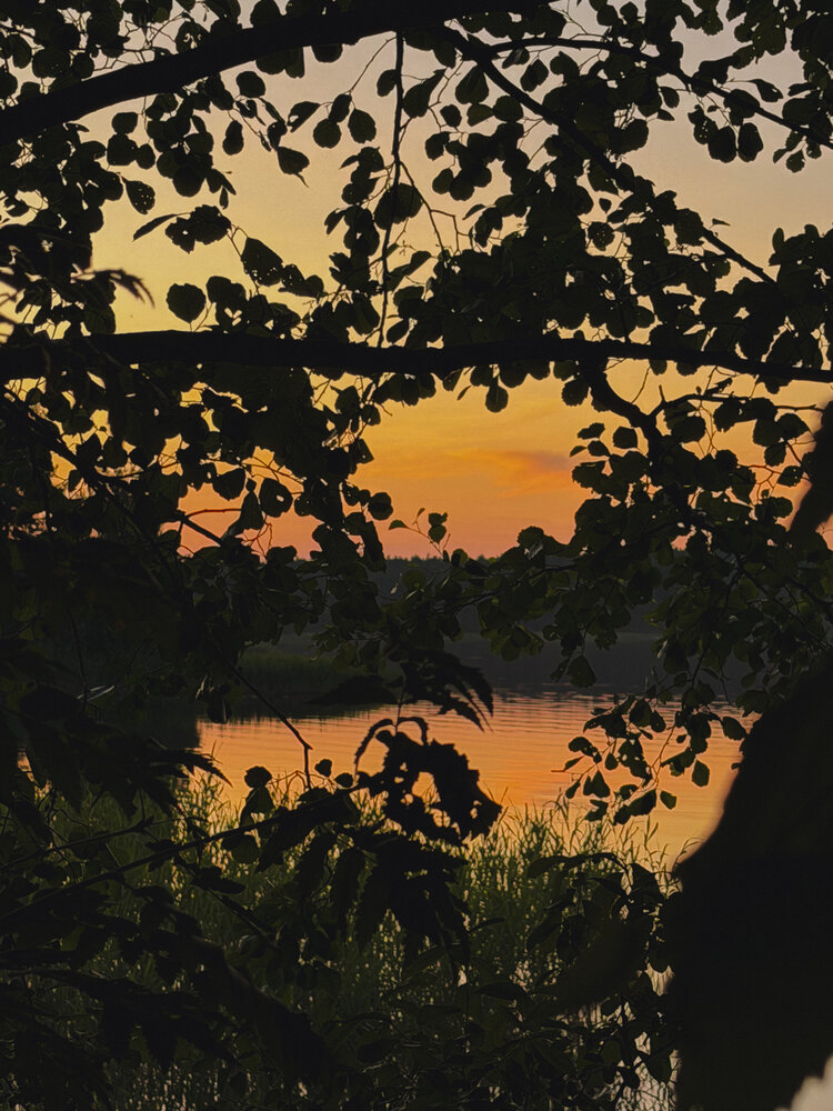 Photograph by Диана Киреева