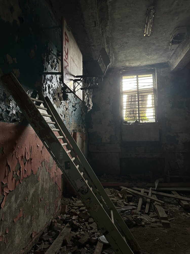 Фотография автора Ольга Большакова