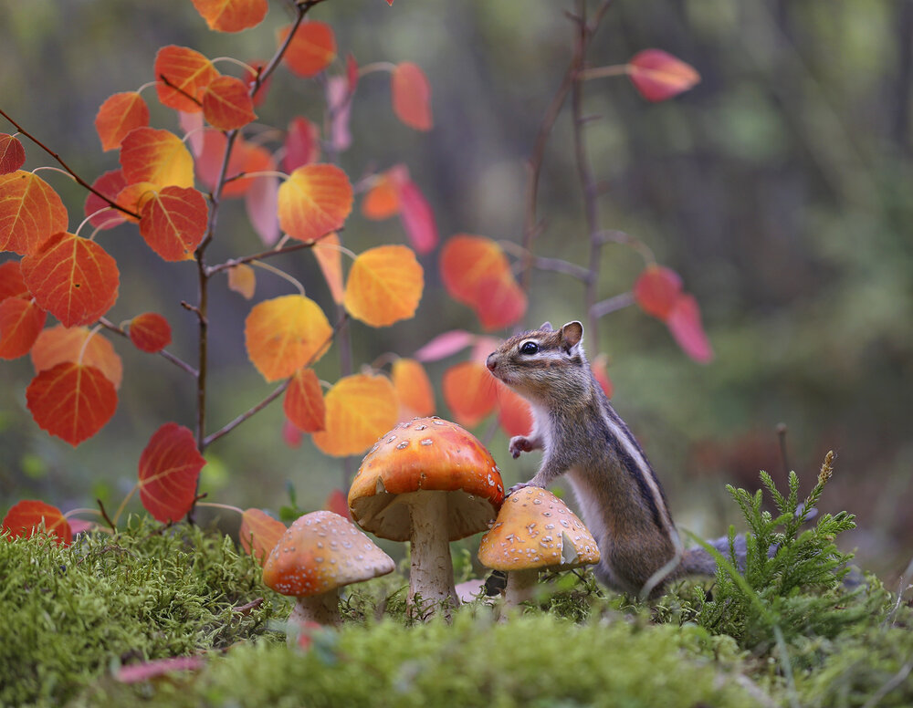 Photograph by Евгения Левина