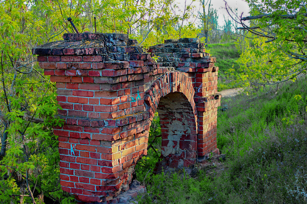 Photograph by Ирина Шибитова