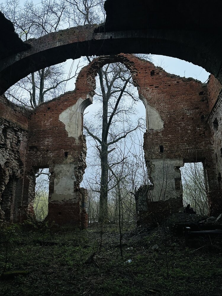 Фотография автора Ольга Большакова