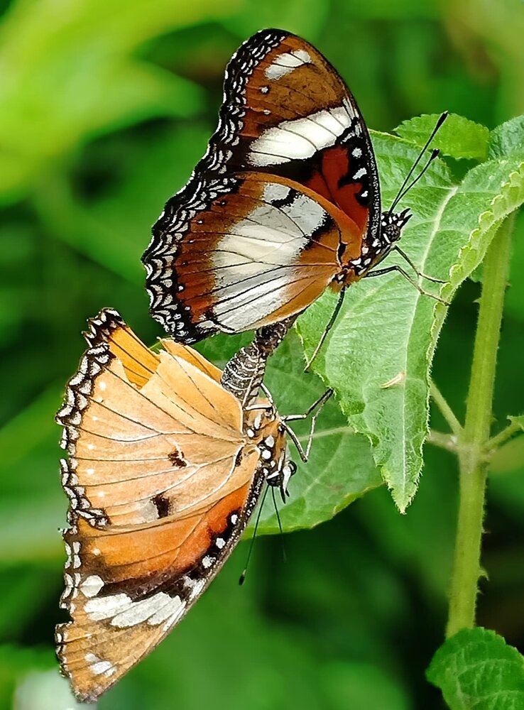 Фотография автора Toàn Nguyễn Hữu