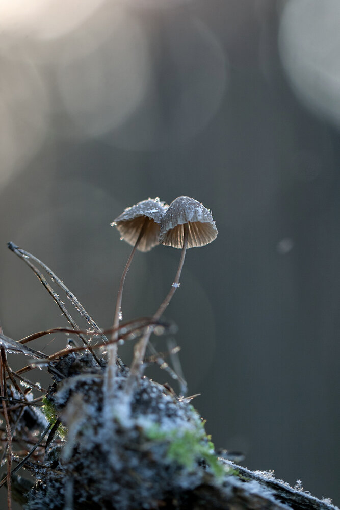 Photograph by Екатерина Молодкина