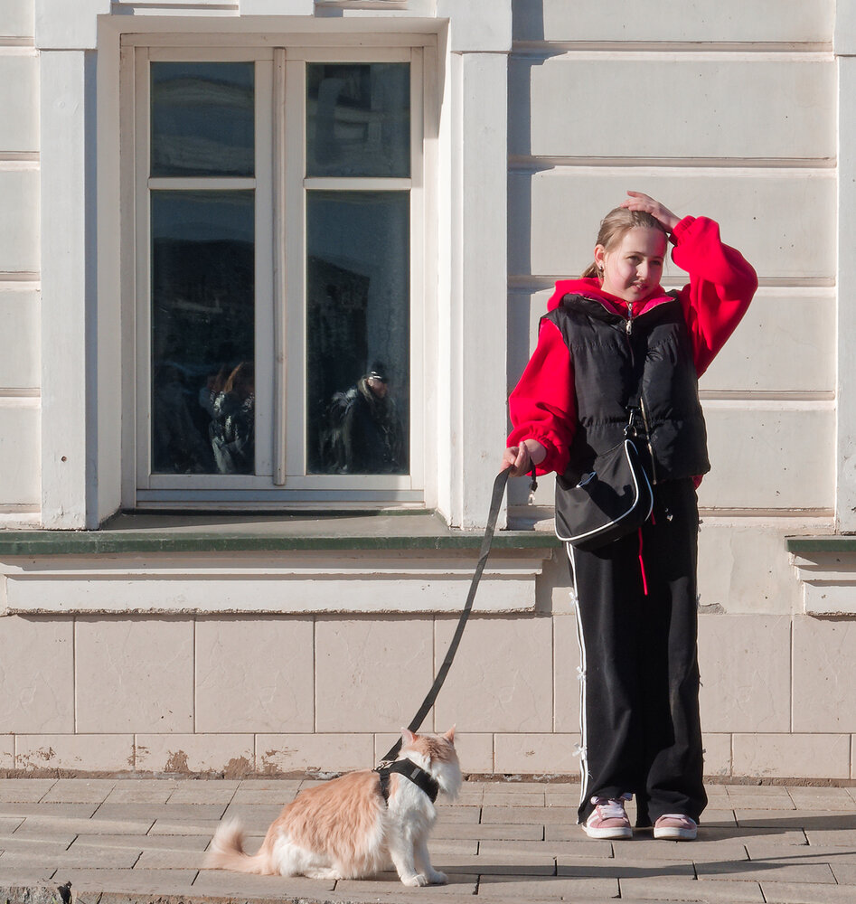 А кот позировать отказался...