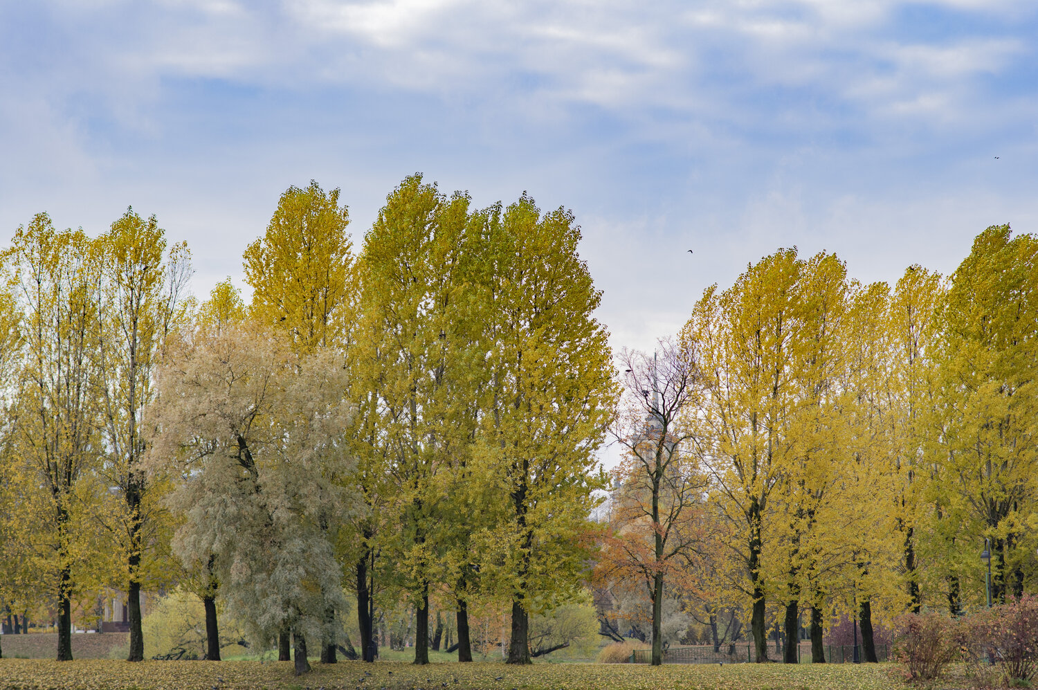 Photo #13989480