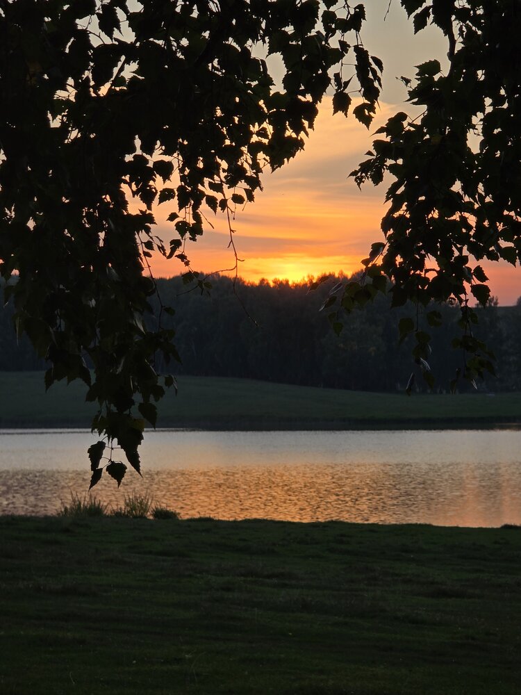 Photograph by Татьяна Шарлап