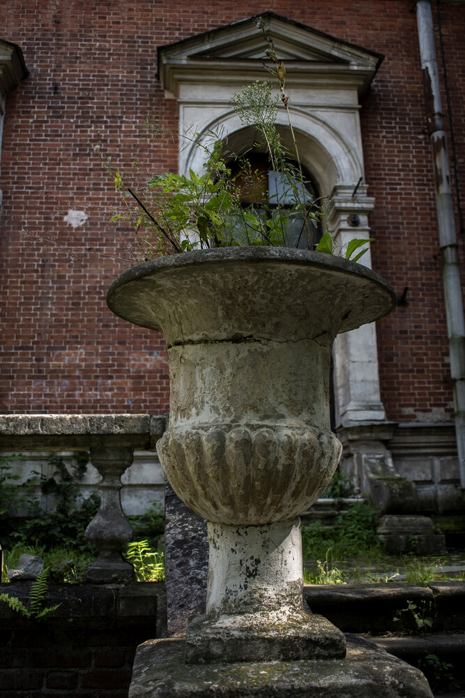 Photograph by Романова Елена