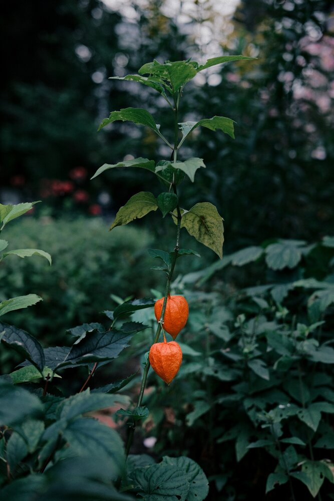 Photograph by Борисов Владимир