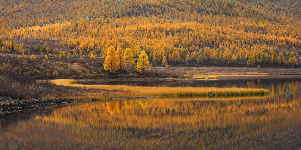 Photograph by Александр Попов