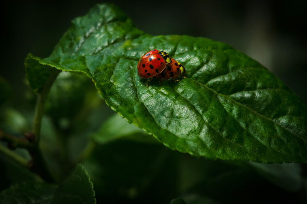 Photograph by Николай Xxxxxx
