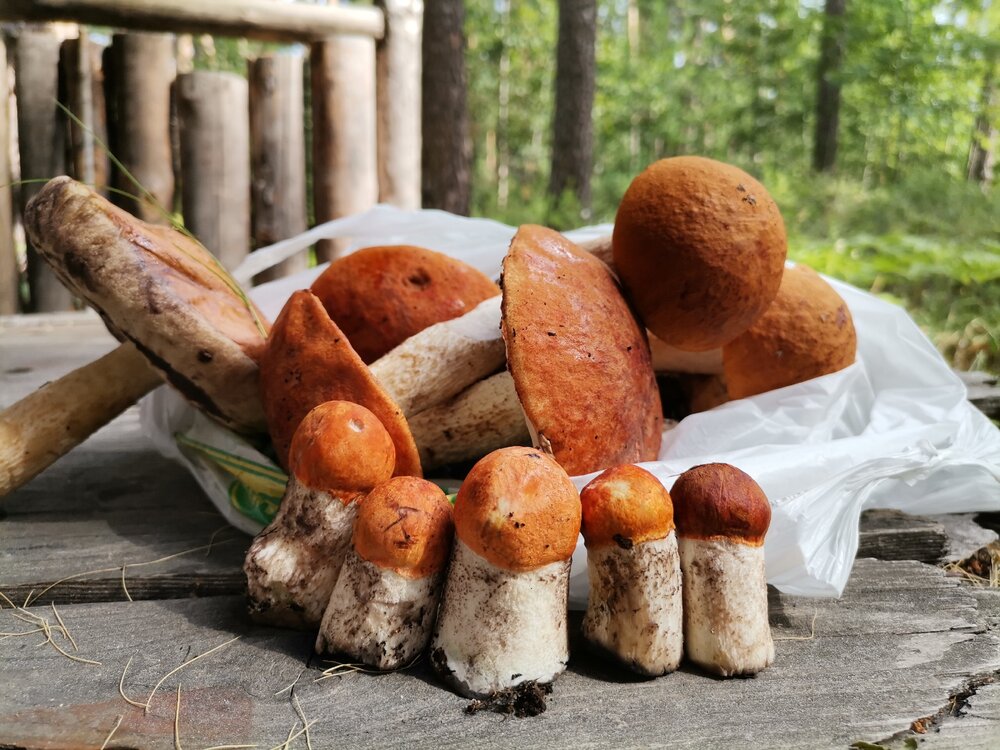 Photograph by Людмила Куренкова