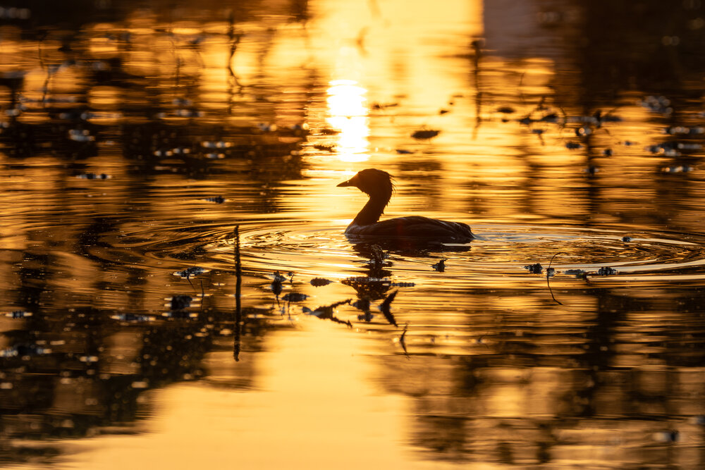 Photograph by Вера Машина