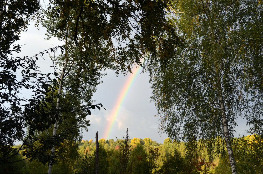 Photograph by Мария Черепкова