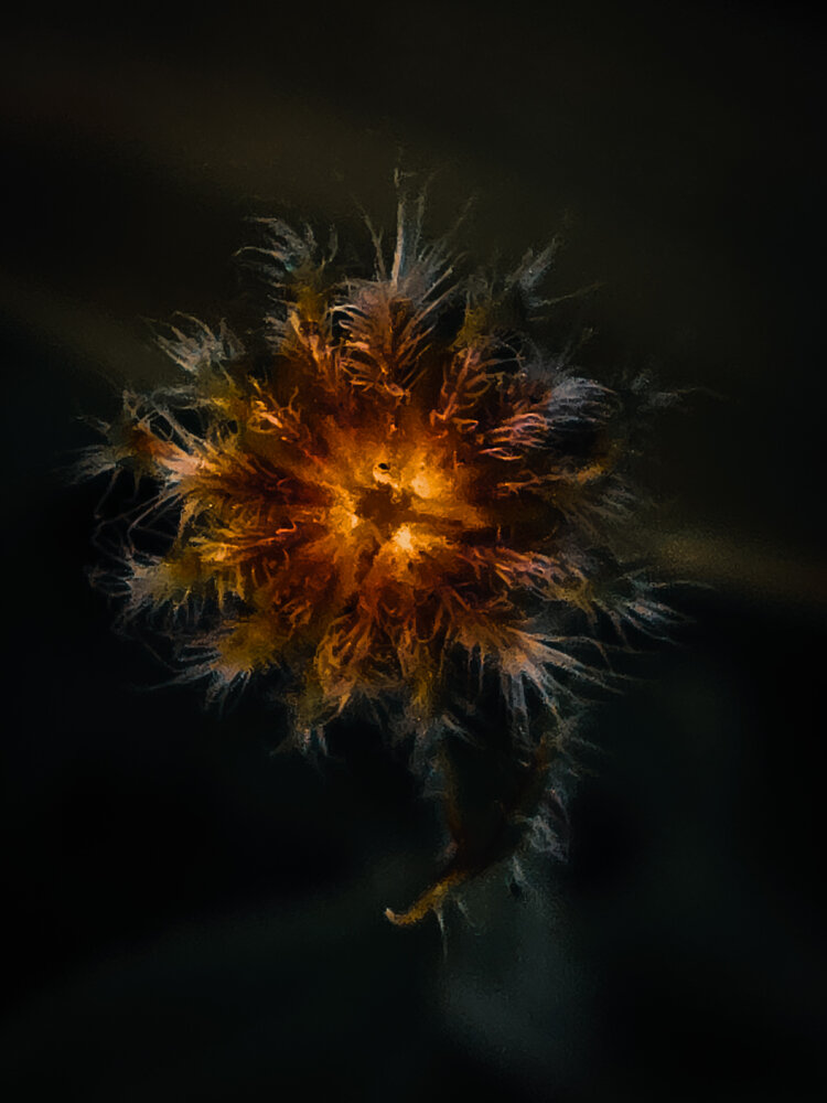 Photograph by Ирина Хлебникова