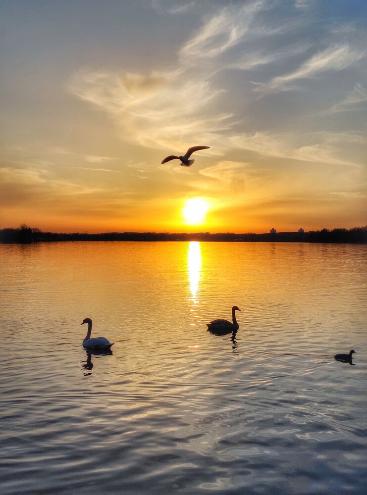 Photograph by Владимир Шаруба