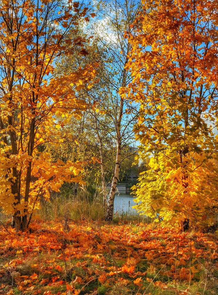 Photograph by Владимир Шаруба