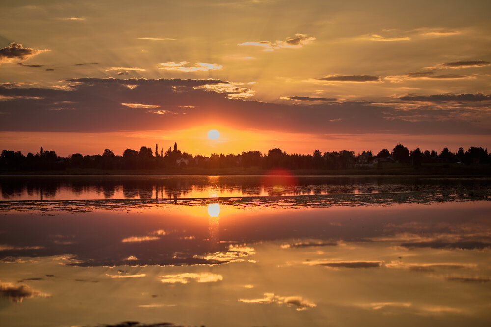 Photograph by Елена Куракина