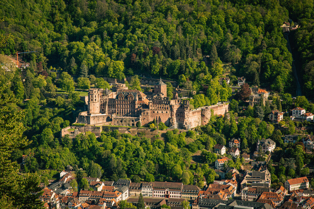 A detailed aerial high angle landscape photo showing historic medieval Heidelberg Castle ruins surrounded by lush green forest hills above old town