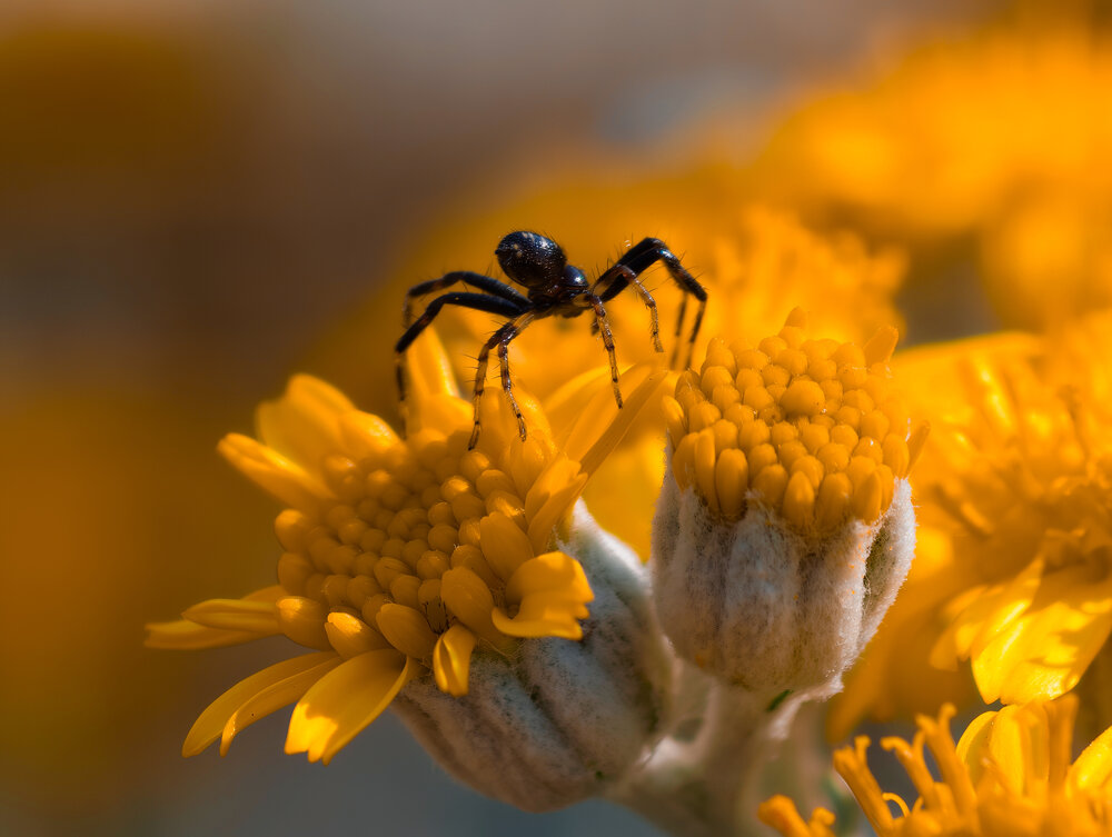 Photograph by Вячеслав Помазан