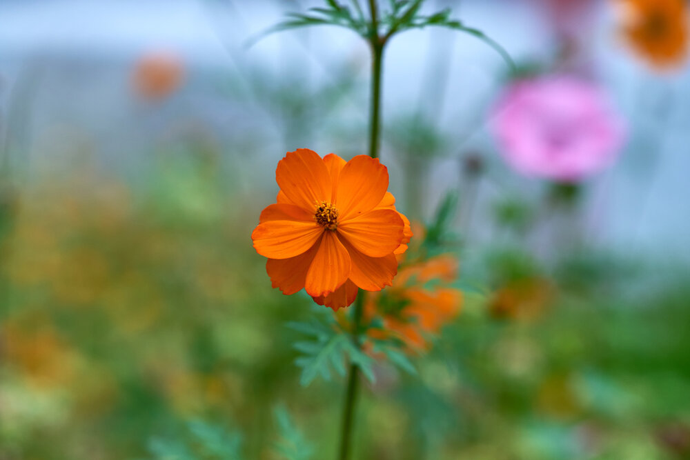 Photograph by Виталий Якимов