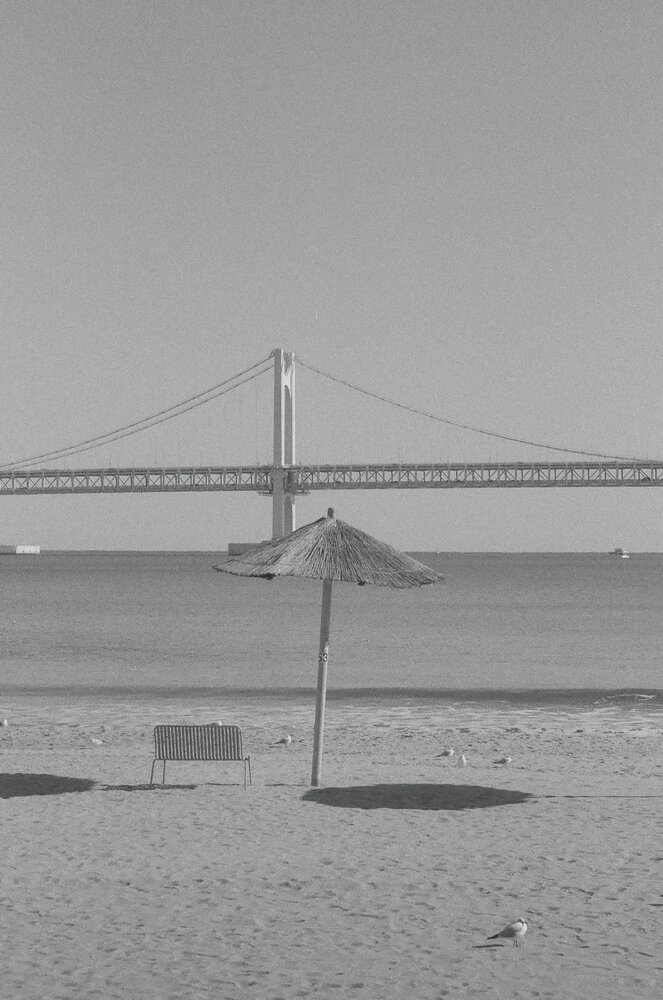 solitary