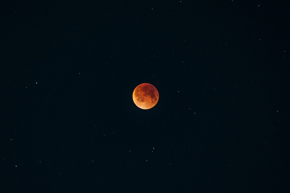 Photograph by Saikat Singha