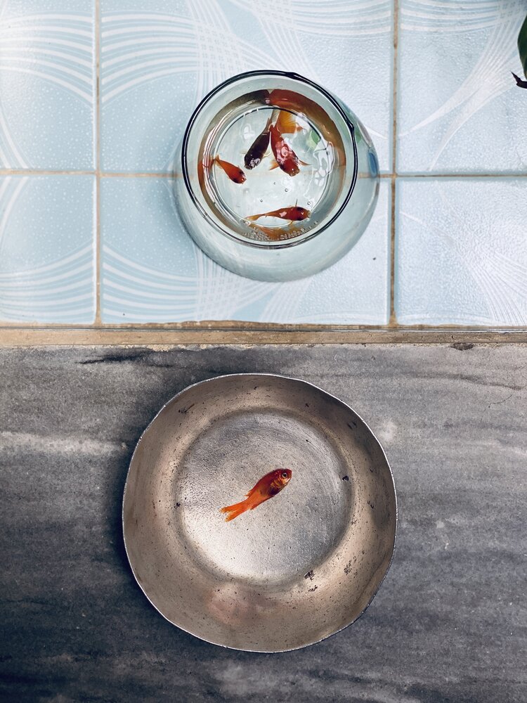 Photograph by Zahra Akbarian