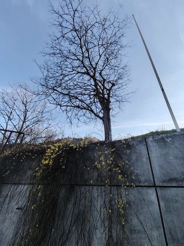 Photo #13990588