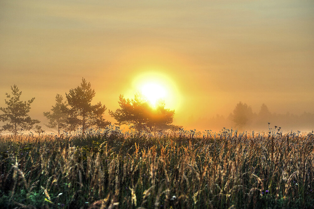 Photograph by Cергей Абакумов