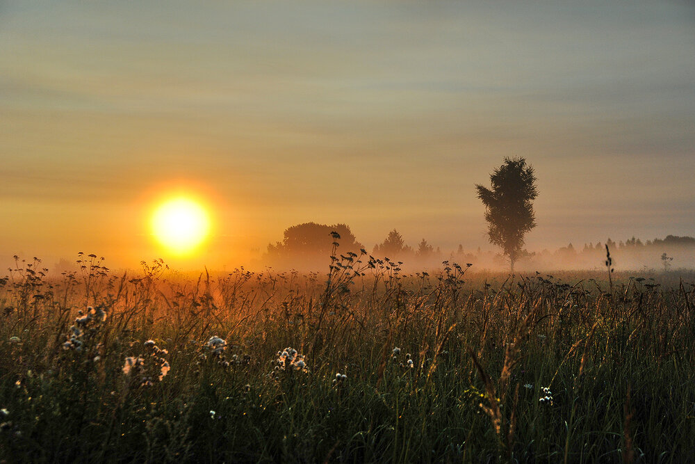 Photograph by Cергей Абакумов