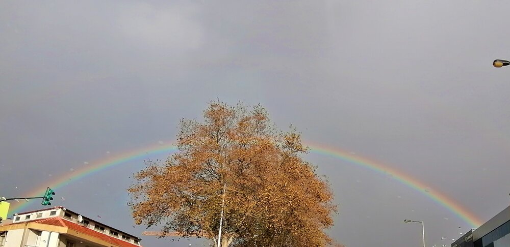 Rainbow II