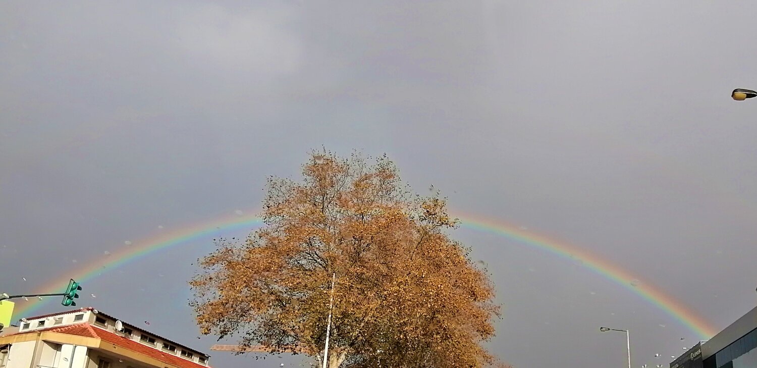 Rainbow II