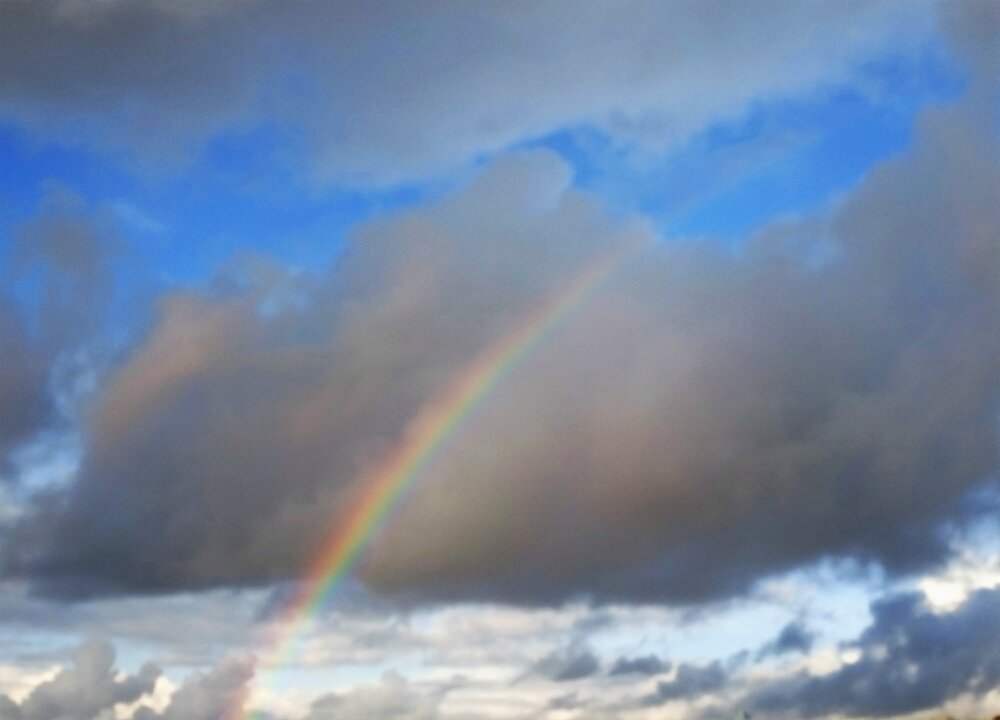 Rainbow IV