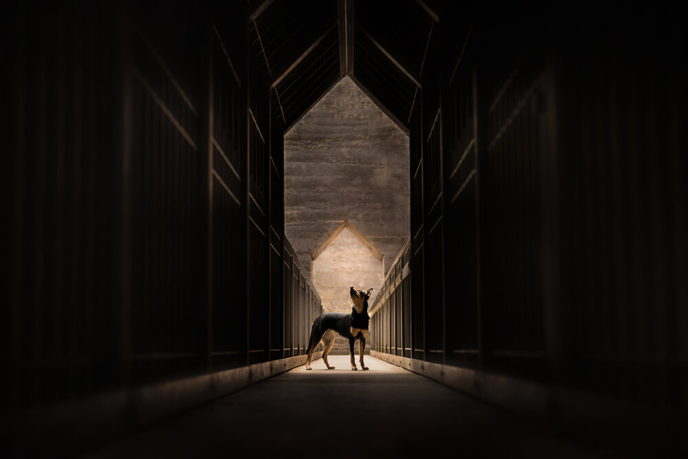 Where light and shadow meet