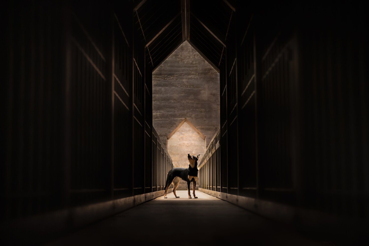 Where light and shadow meet
