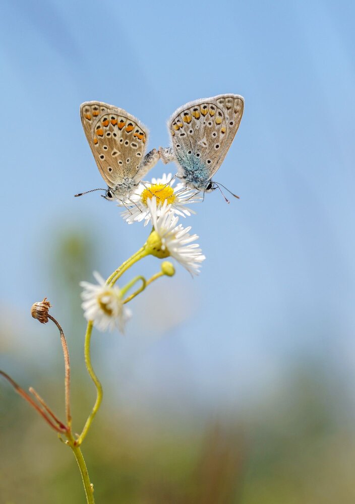 Photograph by Чепленко Алексей