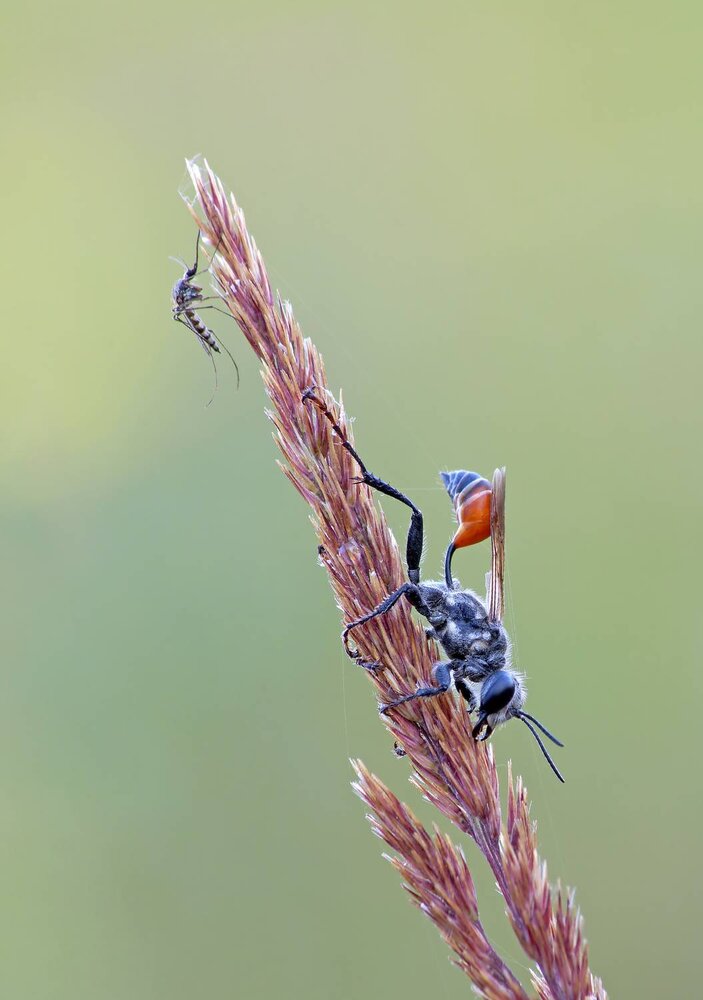 Photograph by Чепленко Алексей