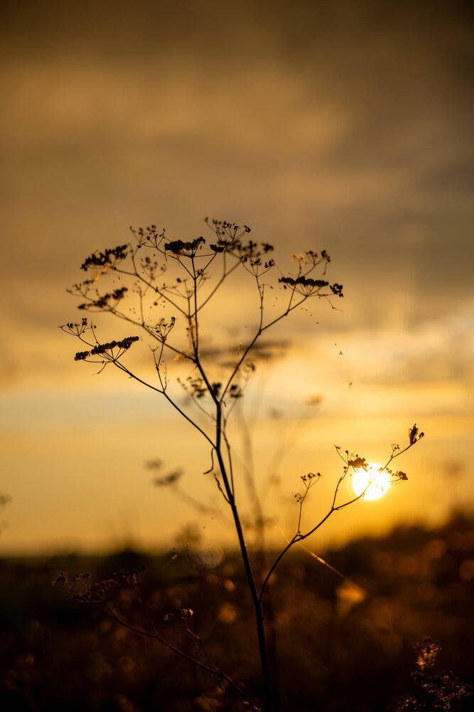 Photograph by Наталья Дронова