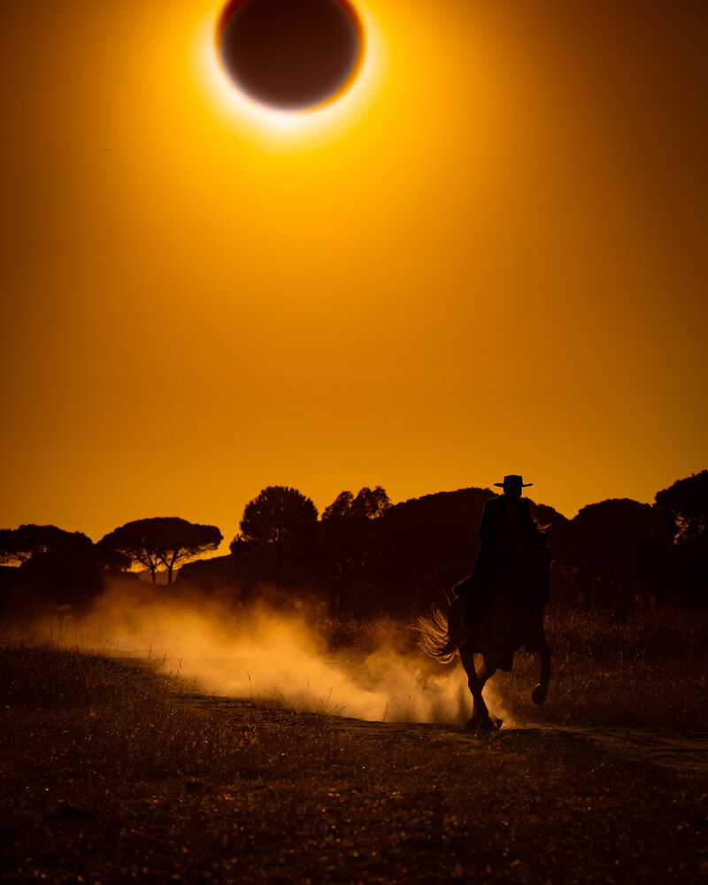 Photograph by Carolina Ek