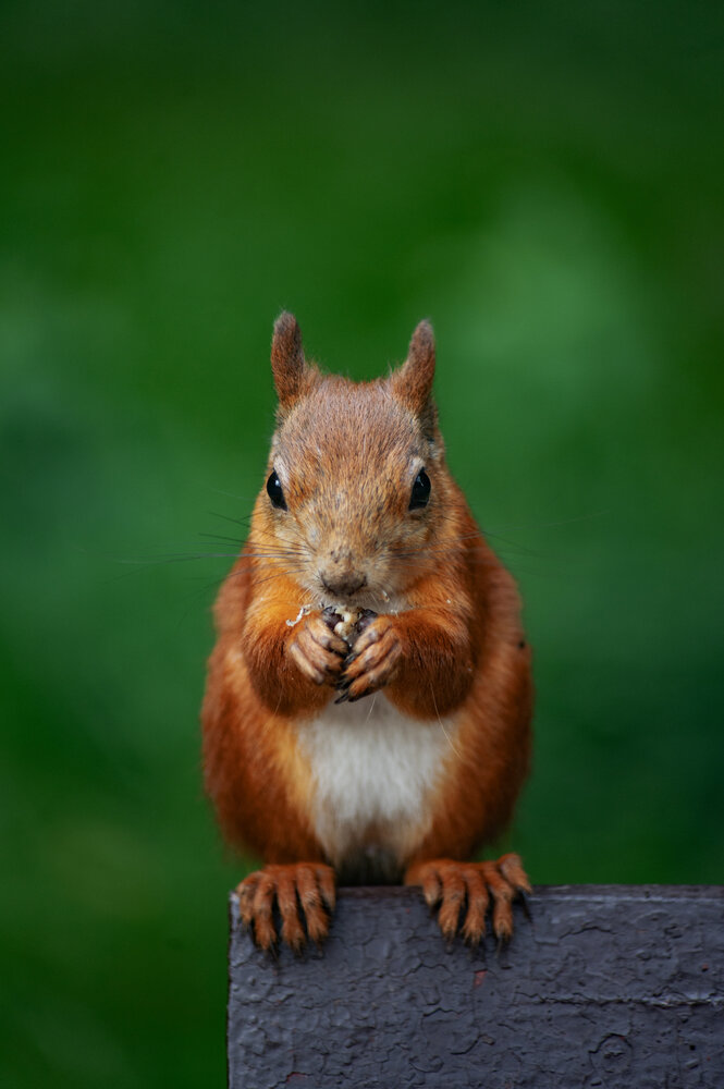 Photograph by Alex Sukharev