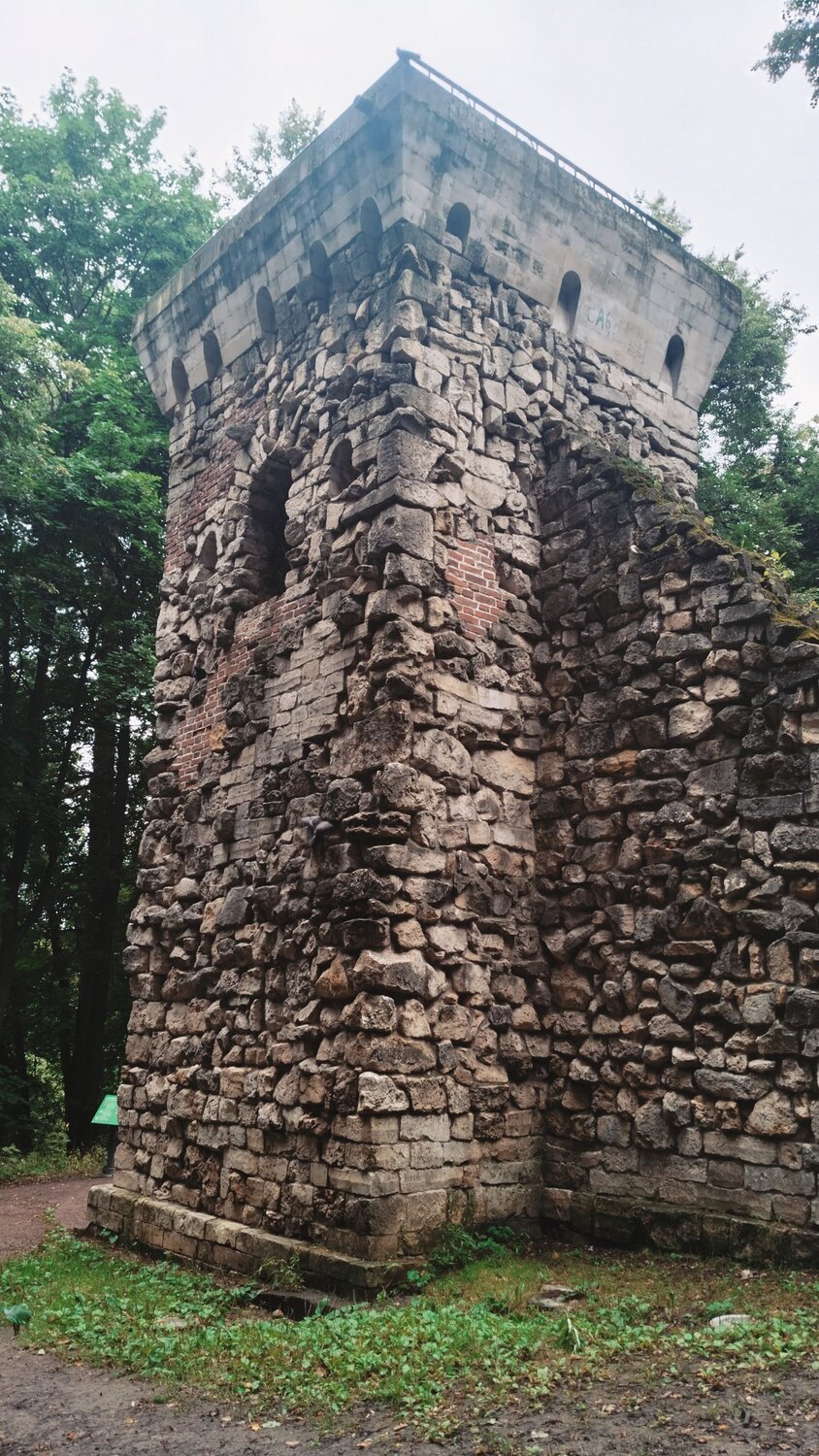 Photo #13991042