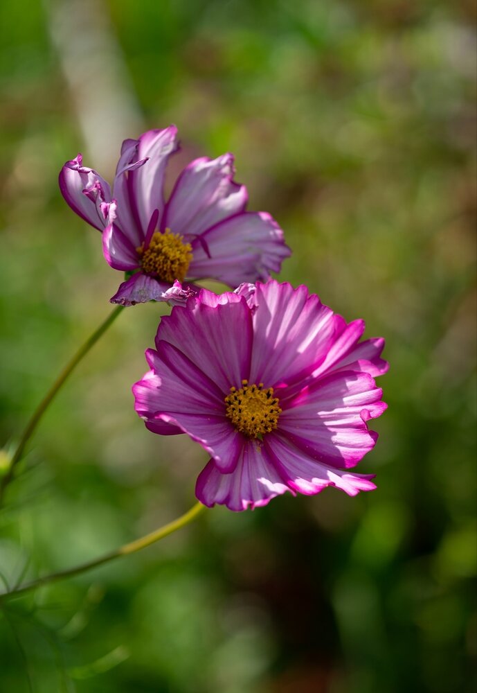 Photograph by Екатерина Одинцова