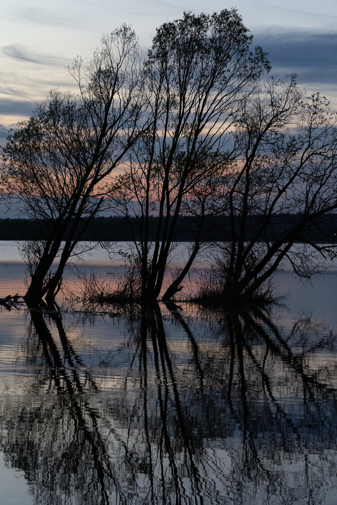 Photograph by Михаил Беликов